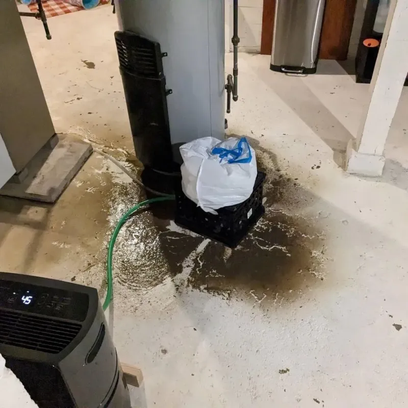 Sewage Backup Cleanup Service in Tracy, CA